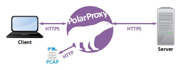  نمودار جریان رمزگشایی PolarProxy 